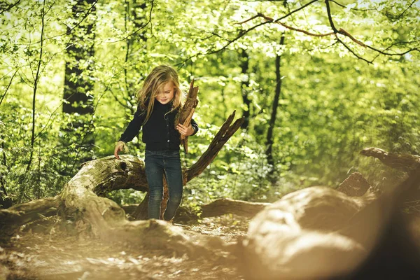 Девушка Играет Солнечном Зеленом Лесу — стоковое фото