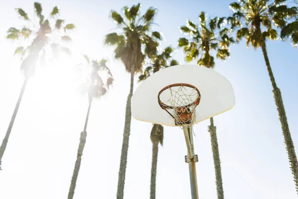 Gün Işığım Alt Görünümünde Basketbol Çember Palmiye Ağaçları — Stok fotoğraf