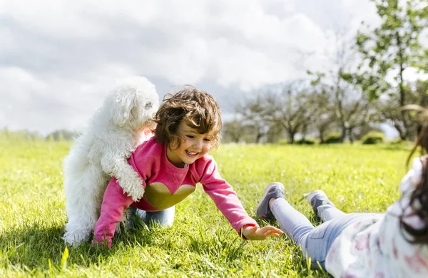 Küçük Kız Kardeş Ile Onların Köpek Bir Çayır Üzerinde Oynama — Stok fotoğraf