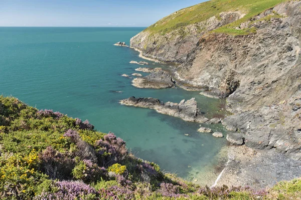 Reino Unido País Gales Dinas Head Peninsula Pembrokeshire Coast National — Fotografia de Stock