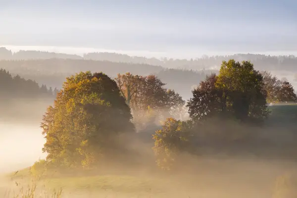 Alemania Baviera Pfaffenwinkel Aidling Aidlinger Hoehe Niebla Mañana — Foto de Stock