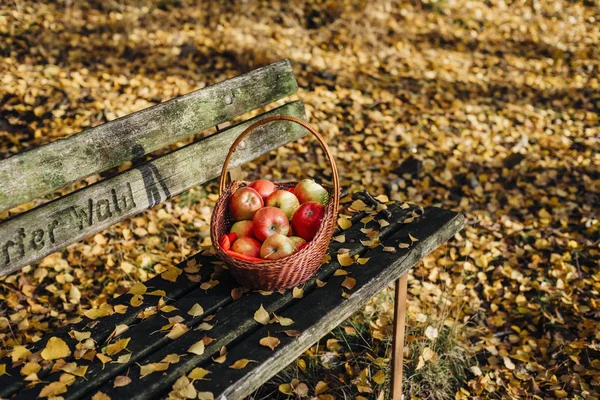 Panier Avec Pommes Sur Banc Dans Forêt Automne — Photo