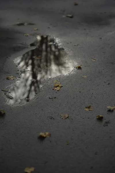 憂鬱な天気でアスファルト道路の水たまり — ストック写真
