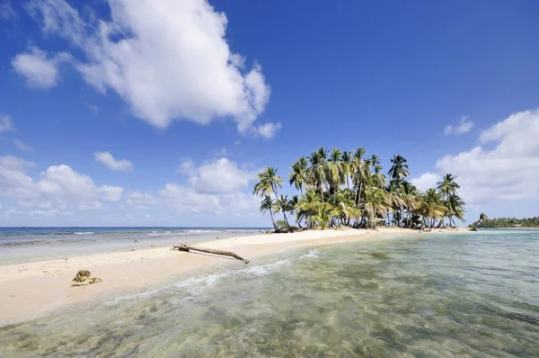 Panama San Blas Islands Desert Island Palms — Stock Photo, Image