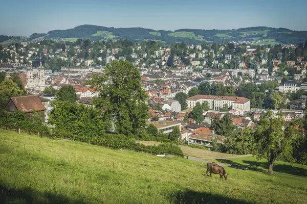 Швейцарія Санкт Галлен Видом Місто Drei Weieren — стокове фото