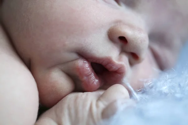 Close Dormir Bebê Recém Nascido Menino Rosto — Fotografia de Stock