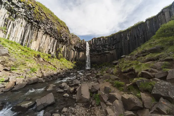 Islândia Bela Cachoeira Svartifoss — Fotografia de Stock