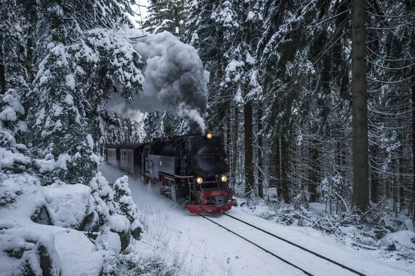 Niemcy Saksonia Anhalt Parku Narodowego Harz Harz Kolejka Wąskotorowa Zimie — Zdjęcie stockowe