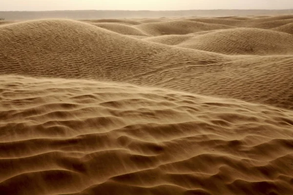 Tunísia Dunas Areia Deserto Saara Grande Erg Oriental — Fotografia de Stock