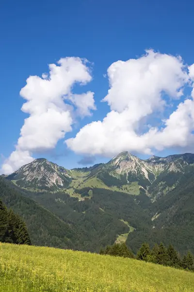 ドイツ バイエルン キームガウ アルプス Breitenstein Geigelstein Streichen から見た — ストック写真