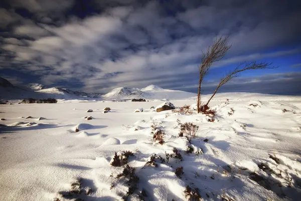 Μεγάλη Βρετανία Σκωτία Rannoch Moor Χειμώνα — Φωτογραφία Αρχείου