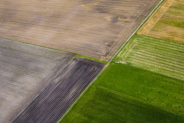 Vista Aérea Campos Agrícolas Coloridos Durante Dia Baviera Alemanha — Fotografia de Stock