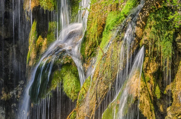 Cascata naturale e muschio sulle rocce — Foto Stock