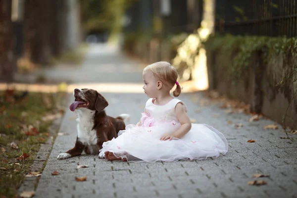 Blondes Kleines Mädchen Tüllkleid Sitzt Neben Ihrem Hund Auf Dem — Stockfoto