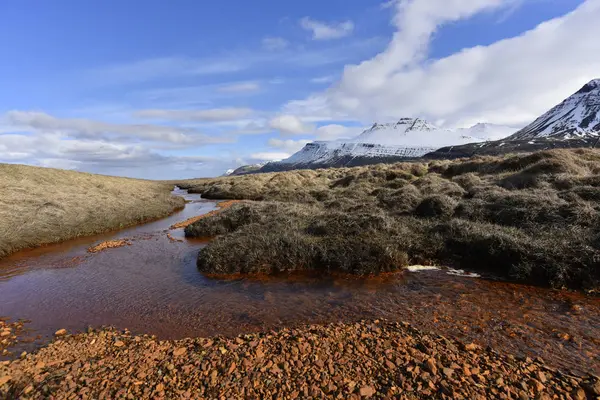 Islandia Krajobraz Rzeką Ciągu Dnia — Zdjęcie stockowe