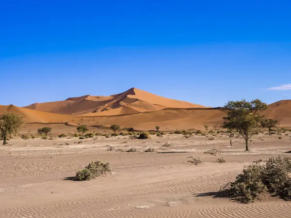 Namibië Hardap Naukluft Park Met Het Oog Duinen Van Namib — Stockfoto