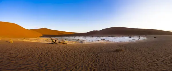 Namíbia Namib Naukluft Dead Vlei Dunas Deserto Namíbia — Fotografia de Stock