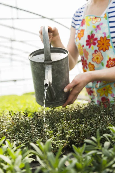 Perempuan Tukang Kebun Menyiram Tanaman Pembibitan Tanaman — Stok Foto