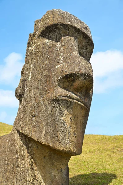 Χιλή Νησί Πάσχα Moai Κεφάλι Πέτρα Στην Rano Raraku Λατομείου — Φωτογραφία Αρχείου