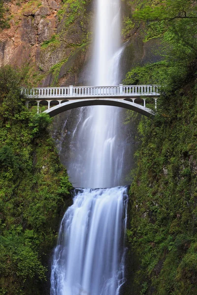 Estados Unidos América Oregon Condado Multnomah Columbia River Gorge Bridge — Fotografia de Stock