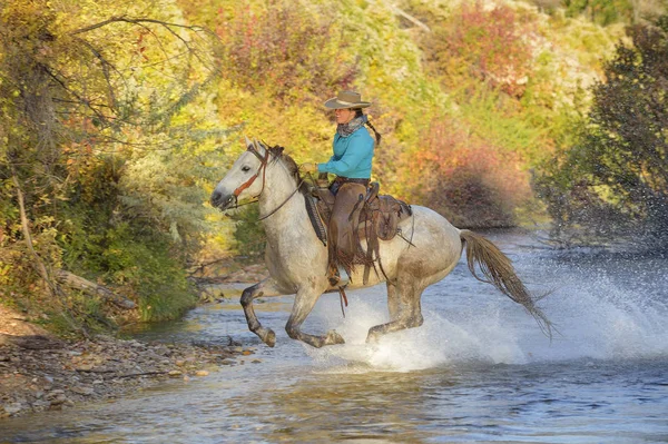 Usa Wyoming Cowgirl Zijn Paard Rijden Rivier — Stockfoto