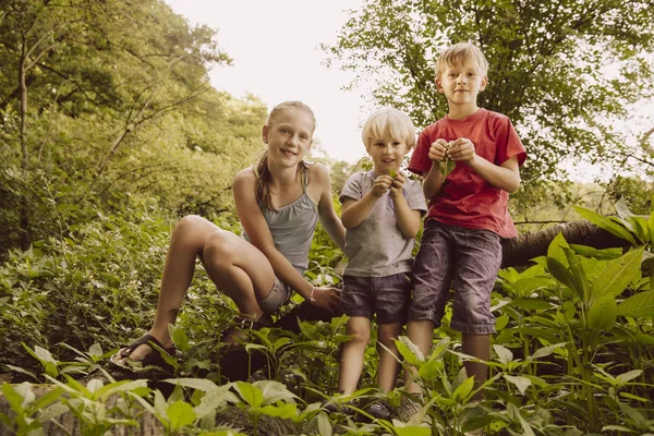 Porträt Von Drei Lächelnden Kindern Der Natur — Stockfoto