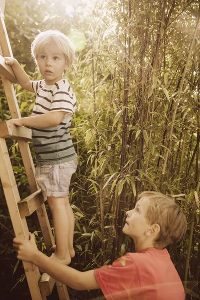 Two Boys Climbing Wooden Ladder Bamboo Garden — Stock Photo, Image