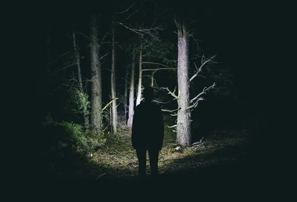 Woman Headlamp Creepy Forest Night — Stock Photo, Image