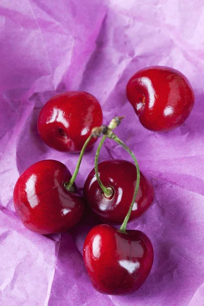 Cherries on pink paper — Stock Photo, Image