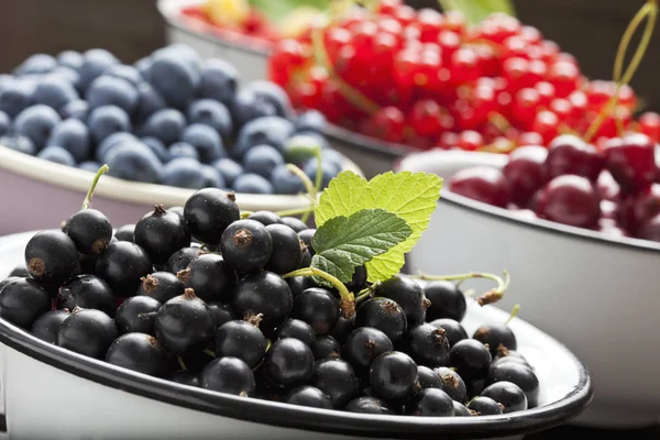 Bowl Black Currants Bowls Other Fruits Background — Stock Photo, Image