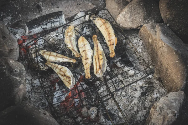 Griller Poisson Sur Rack Sur Feu Camp — Photo