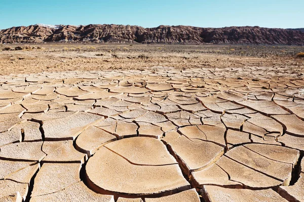 Ameryce Południowej Chile Suchej Ziemi Pęknięty Pustyni Atacama — Zdjęcie stockowe