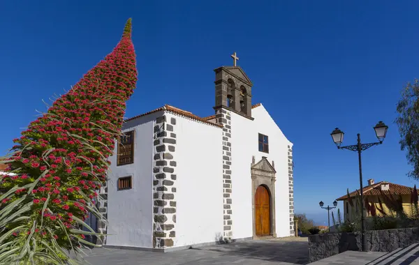 Spain Canary Islands Tenerife Vilaflor View San Pedro Blossom Echium — Stock Photo, Image