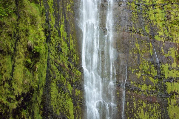Estados Unidos Hawái Maui Parque Nacional Haleakala Waimoku Falls — Foto de Stock