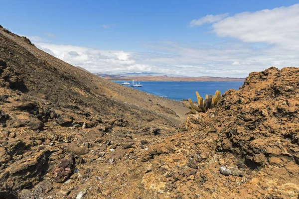 Ecuador Islas Galápagos Bartolomé Paisaje Volcánico Con Cactus Lava — Foto de Stock