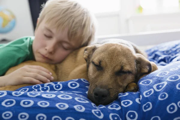 Хлопчик Собака Лежать Ліжку Вид Спереду — стокове фото