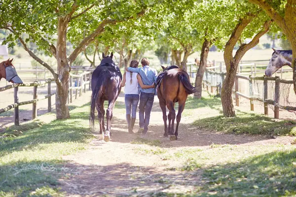 Jeune Couple Marchant Avec Des Chevaux Paddock — Photo