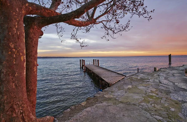 Δέντρο Και Προβλήτα Για Βράδυ Στη Λίμνη Garda Punta San — Φωτογραφία Αρχείου