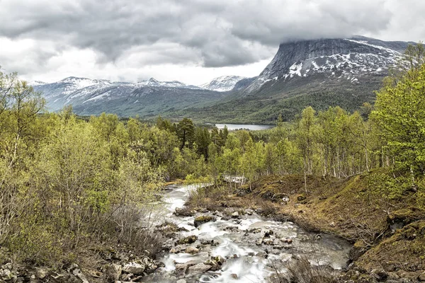 Norge Nordland Nationalparken Saltfjellet Svartisen Flod Som Rinner Fjällområde — Stockfoto