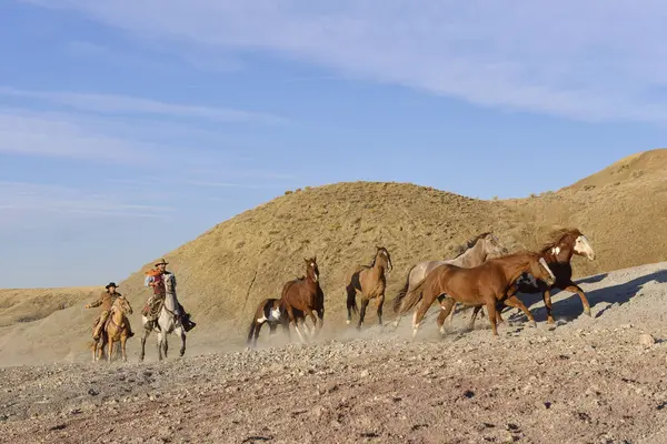 Stany Zjednoczone Ameryki Wyoming Dwóch Kowbojów Pasterski Koni Badlands — Zdjęcie stockowe