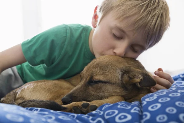 Pojke Och Hund Myser Sängen Närbild Visa — Stockfoto