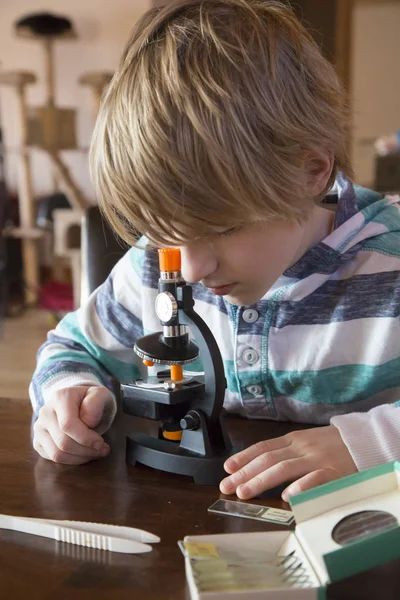 Lindo Niño Pequeño Con Microscopio Casa — Foto de Stock