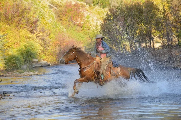 États Unis Wyoming Cowgirl Chevauchant Son Cheval Travers Rivière — Photo