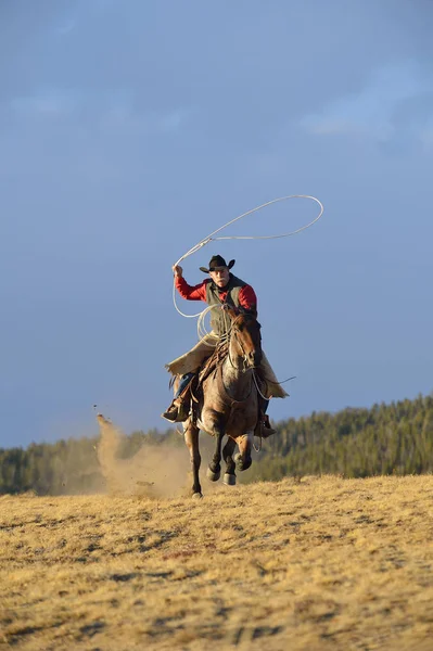 Riding cowboy swinging lasso — Zdjęcie stockowe
