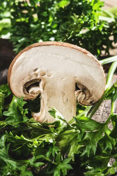 Close Mushroom Slice Green Herbs — Stock Photo, Image