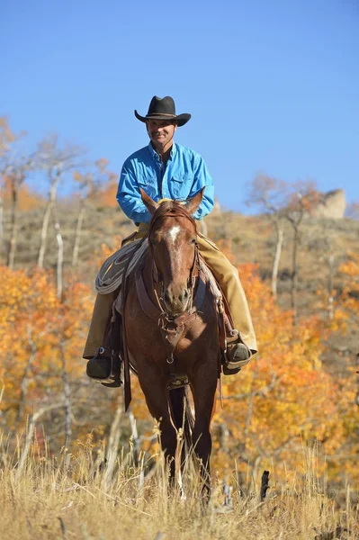 Ridande cowboy i höst — Stockfoto
