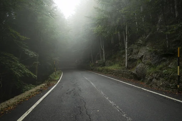 Italy Tuscany Monte Amiata Forest Empty Road Autumn — Stock Photo, Image