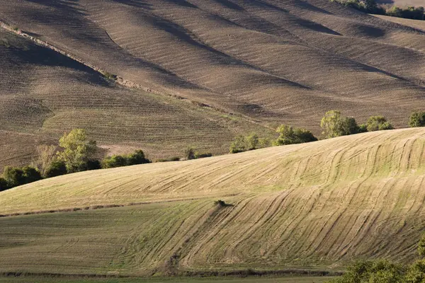 Italie Toscane Champs Récoltés Septembre Pendant Journée — Photo