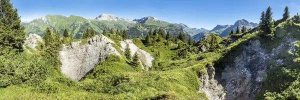 Austria Vorarlberg Alpy Lechtalskie Rezerwat Przyrody Gipsloecher Grubenalpe — Zdjęcie stockowe