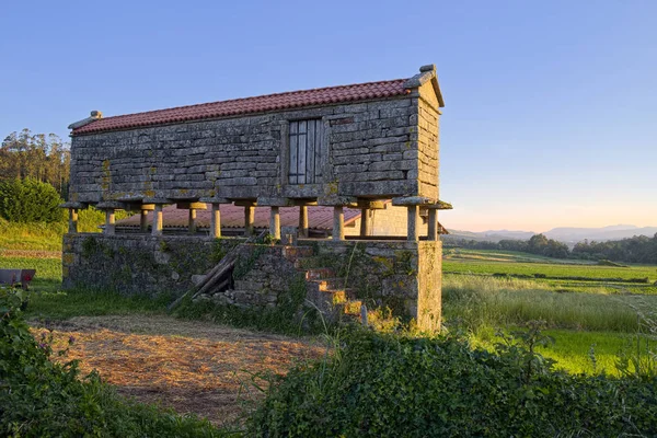 Spanje Galicië Leis Nemancos Traditionele Opslag Voor Gewas Overdag — Stockfoto